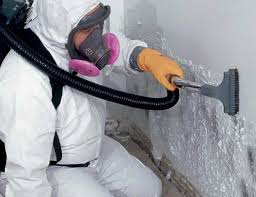 Mold Removal & Remediation